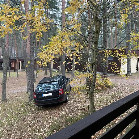 Svoboda Apartment